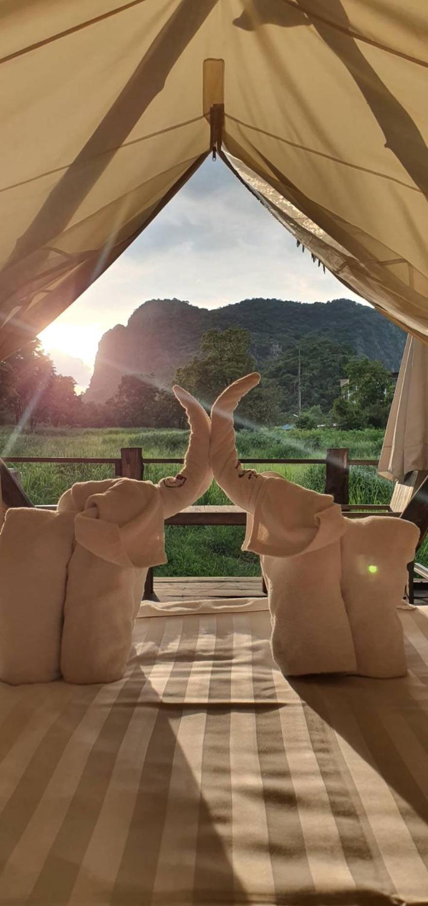 ลูกช้างเขาใหญ่แคมป์ เต็นท์หรู