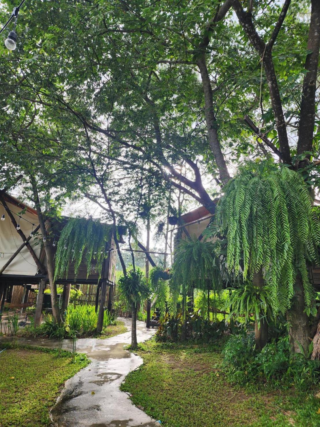 ลูกช้างเขาใหญ่แคมป์ เต็นท์หรู บ้านท่ามะปราง